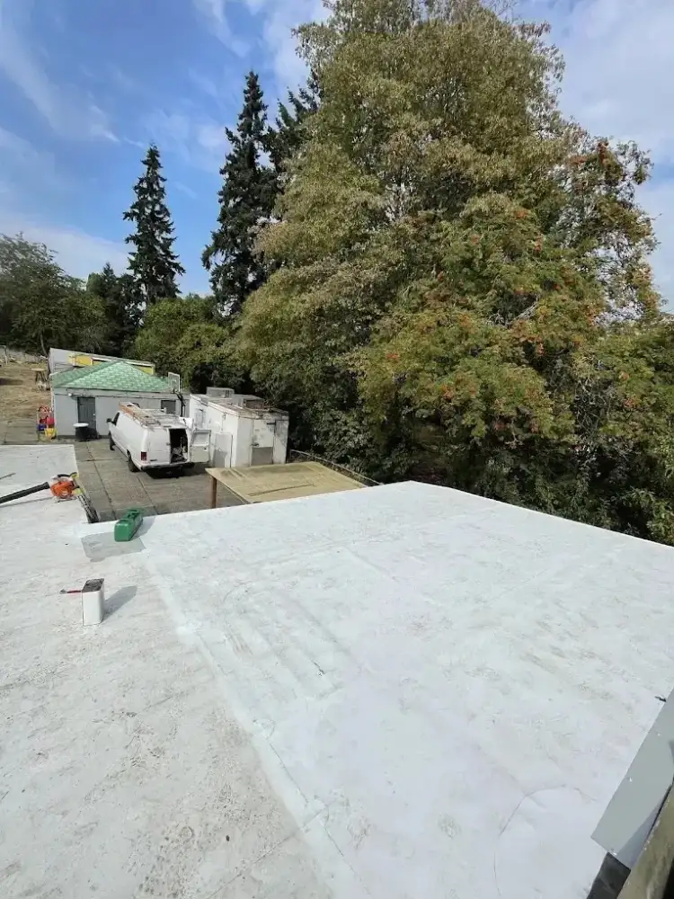 White TPO membrane installed on a flat roof