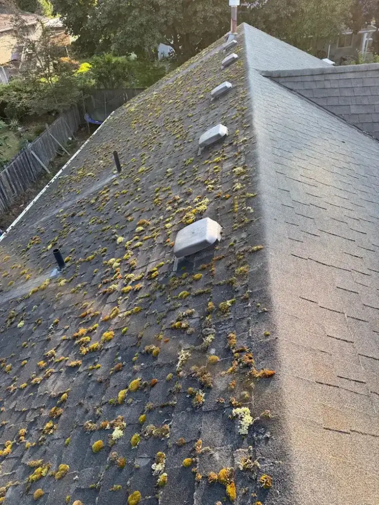 Roof with fall leaf debris before a First Choice maintenance visit